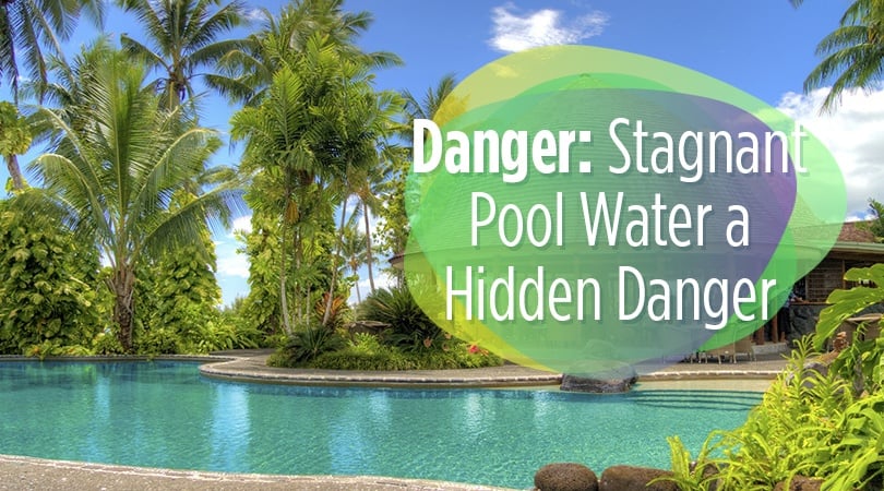 Danger: Stagnant Pool Water A Hidden Danger